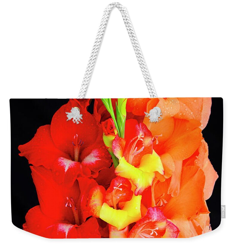 D1-f-0950 Weekender Tote Bag featuring the photograph Gladiolas Grouping - 950 by Paul W Faust - Impressions of Light