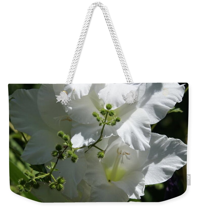  Weekender Tote Bag featuring the photograph Gladiolus by Heather E Harman