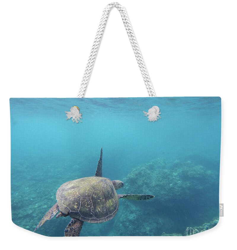 Ocean Weekender Tote Bag featuring the photograph gliding through the Pacific by Ed Stokes
