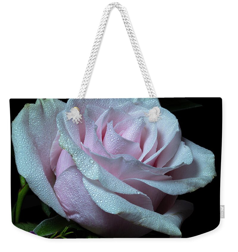 Rose Weekender Tote Bag featuring the photograph Glimmerant by Doug Norkum