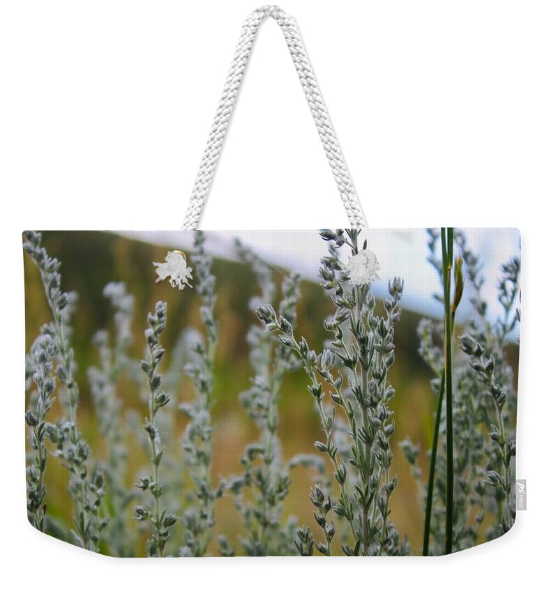 Plants Weekender Tote Bag featuring the photograph Glimmering Greens by Yvonne M Smith