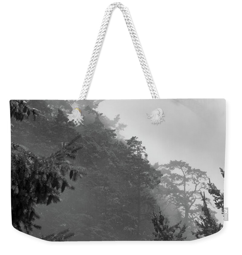 Washington Weekender Tote Bag featuring the photograph Glimpse of Deception Pass by Tara Krauss