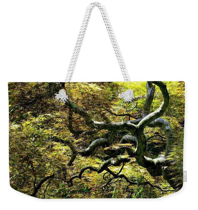 Trees Weekender Tote Bag featuring the photograph Gnarly Tree Closeup by Linda Stern