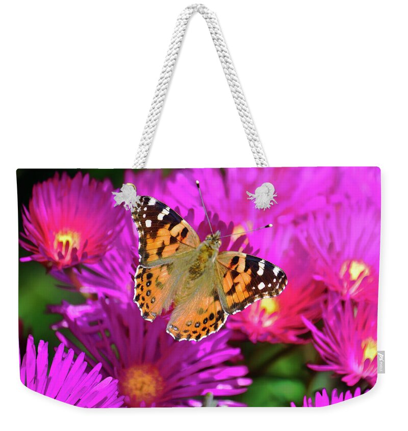 Painted Lady Weekender Tote Bag featuring the photograph God's Love Note by Brian Tada