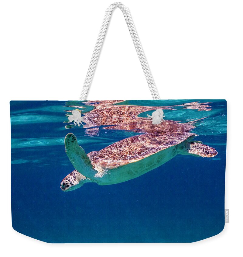Animals Weekender Tote Bag featuring the photograph Going Down by Lynne Browne