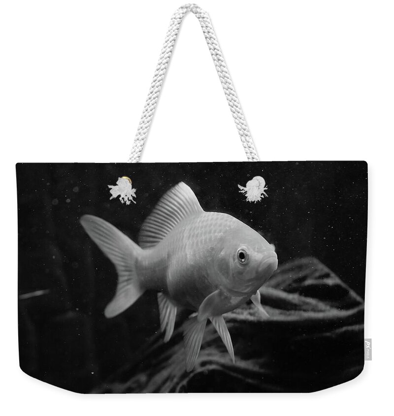 Goldfish Weekender Tote Bag featuring the photograph Gold in Mono by Neil R Finlay