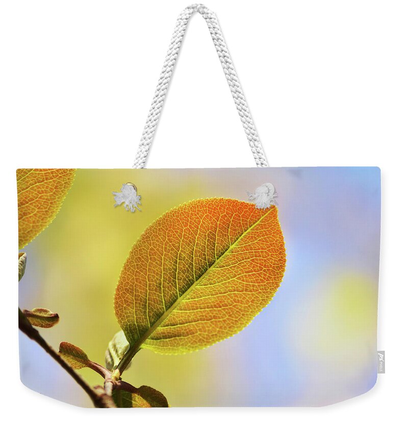 Gold Leaf Weekender Tote Bag featuring the photograph Gold Leaf by Christina Rollo