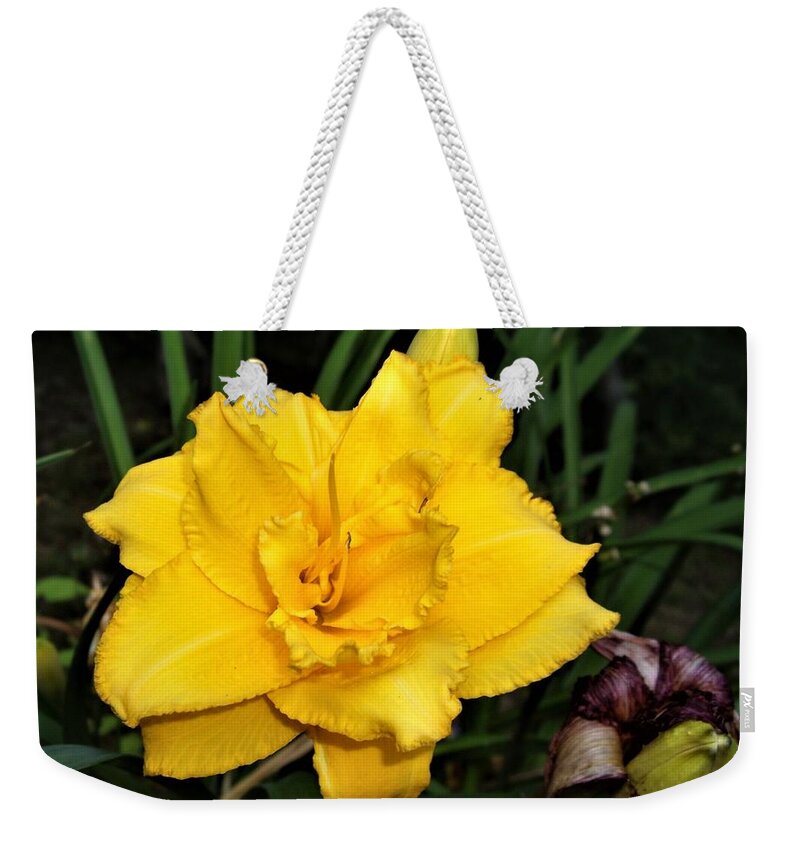 Flower Weekender Tote Bag featuring the photograph Gold Ruffled Day Lily by Nancy Ayanna Wyatt