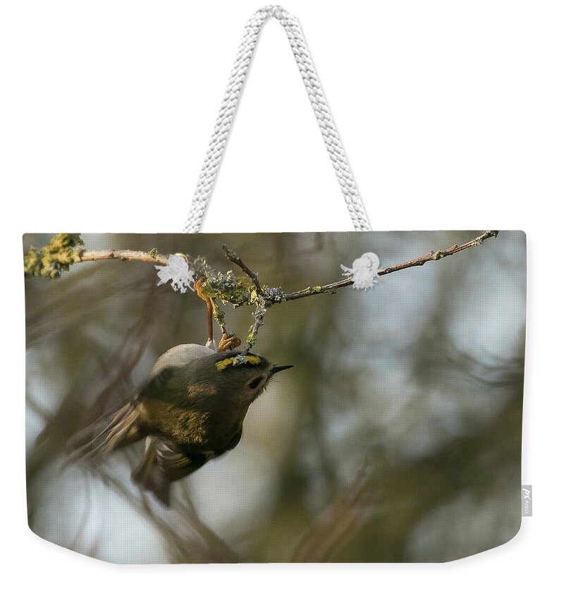 Goldcrest Weekender Tote Bag featuring the photograph Goldcrest Mid Fidget by Wendy Cooper