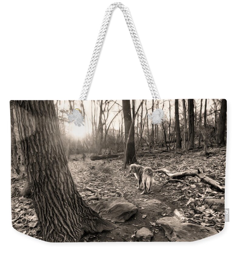 Lake Weekender Tote Bag featuring the digital art Golden and Sunset by Russ Considine