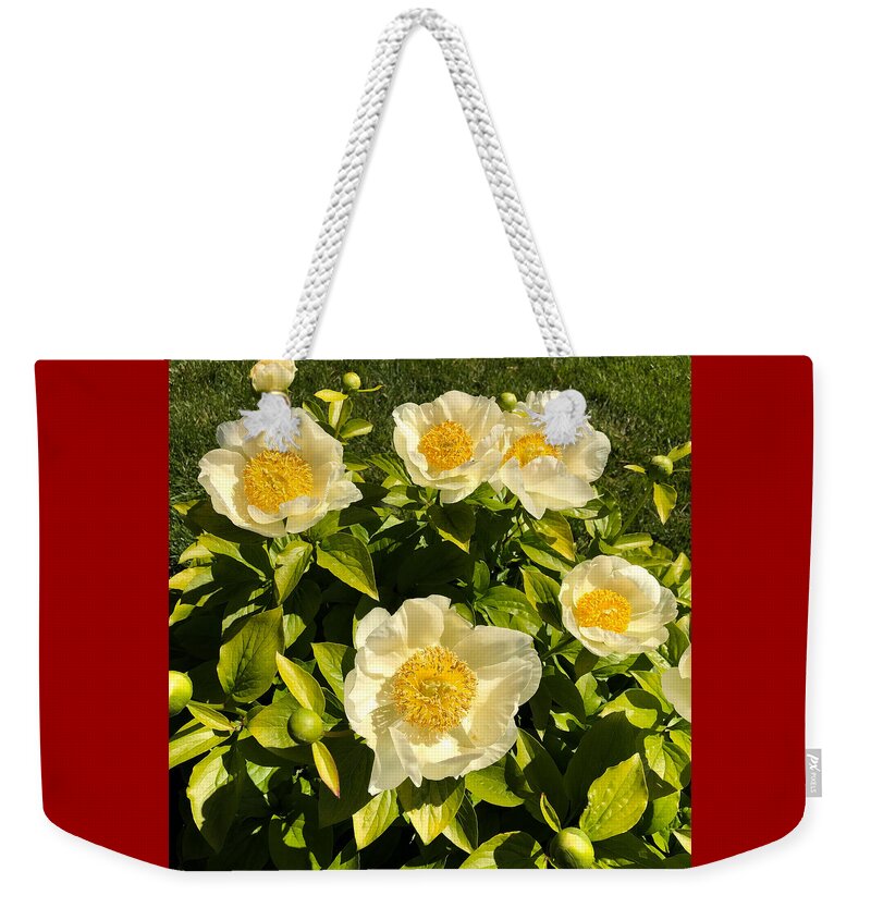 Flower Weekender Tote Bag featuring the photograph Golden Angel Peonies by Russel Considine