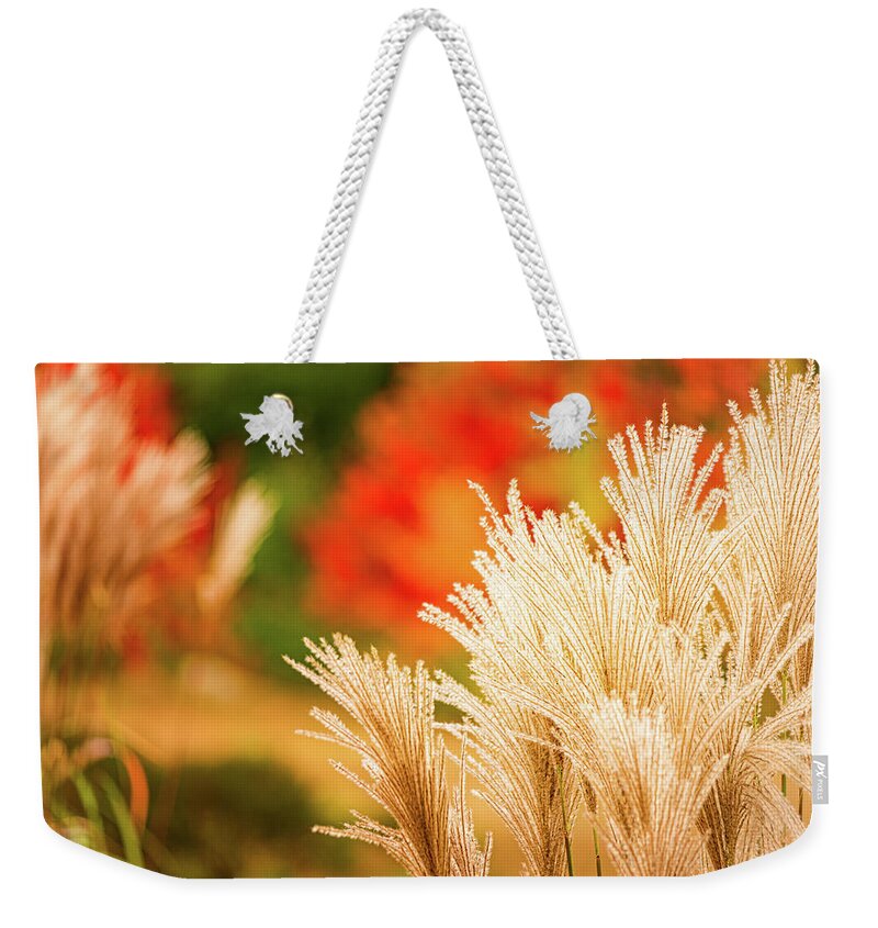 New Hampshire Weekender Tote Bag featuring the photograph Golden Autumn Grass by Jeff Sinon