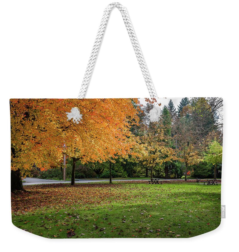 Alex Lyubar Weekender Tote Bag featuring the photograph Golden autumn in the park by Alex Lyubar