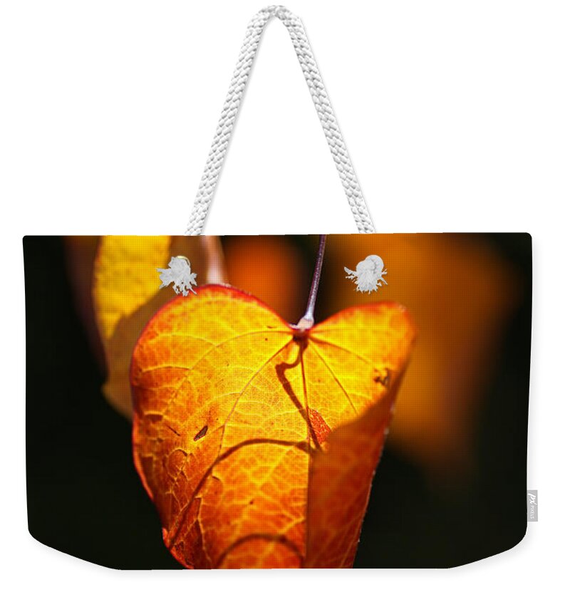 Golden Autumn Leaves Weekender Tote Bag featuring the photograph Golden Autumn Leaves by Joy Watson