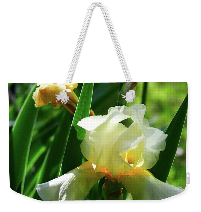 Golden Weekender Tote Bag featuring the photograph Golden Bearded Irises by Cynthia Westbrook
