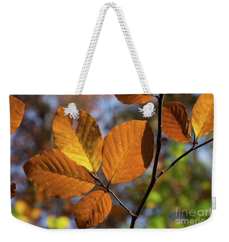 Leaves Weekender Tote Bag featuring the photograph Golden brown leaves by Adriana Mueller