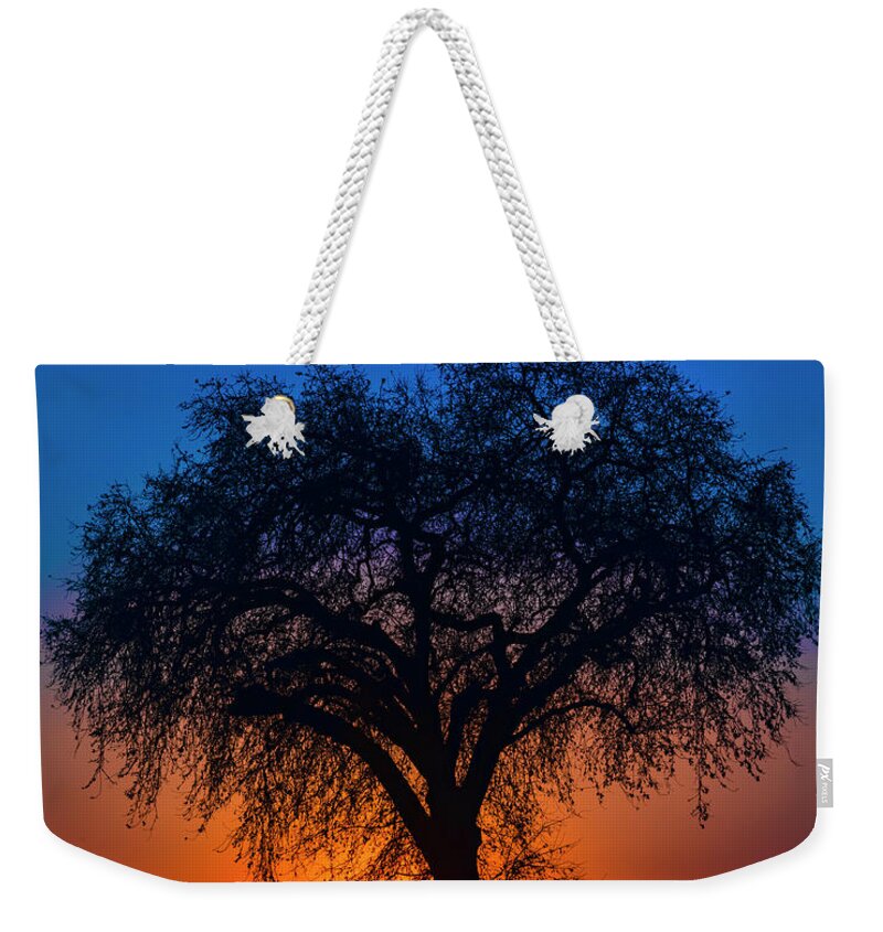 Sunset Silhouette Weekender Tote Bag featuring the photograph Golden Glow by Dan McGeorge