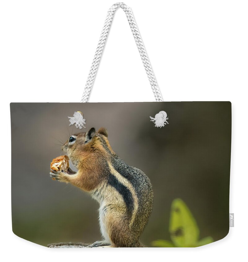 Golden-mantled Ground Squirrel Weekender Tote Bag featuring the photograph Golden-Mantled Ground Squirrel by Debra Martz