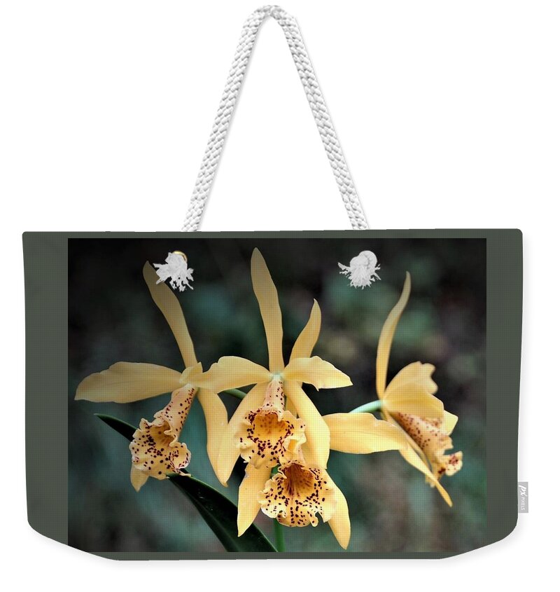 Orchids Weekender Tote Bag featuring the mixed media Golden Orchids by Nancy Ayanna Wyatt
