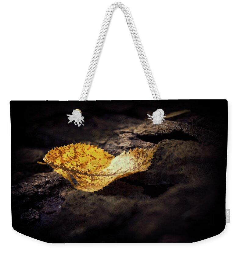 Leaf Weekender Tote Bag featuring the photograph Golden Ray by RicharD Murphy