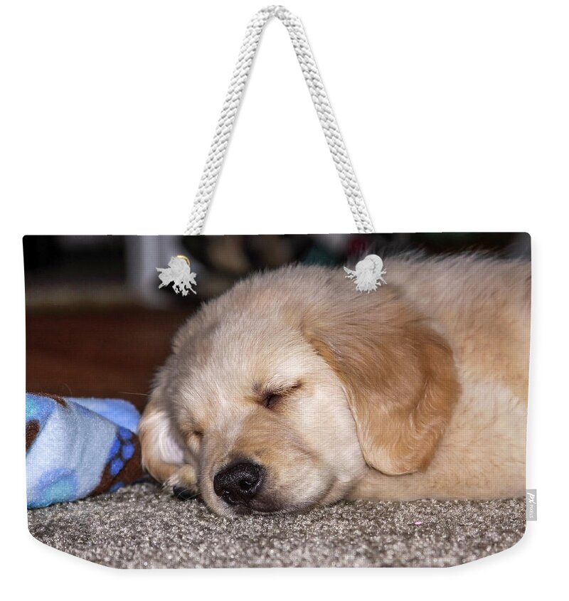 Animal Weekender Tote Bag featuring the photograph Golden Retriever Puppy Sleeping by Dawn Richards