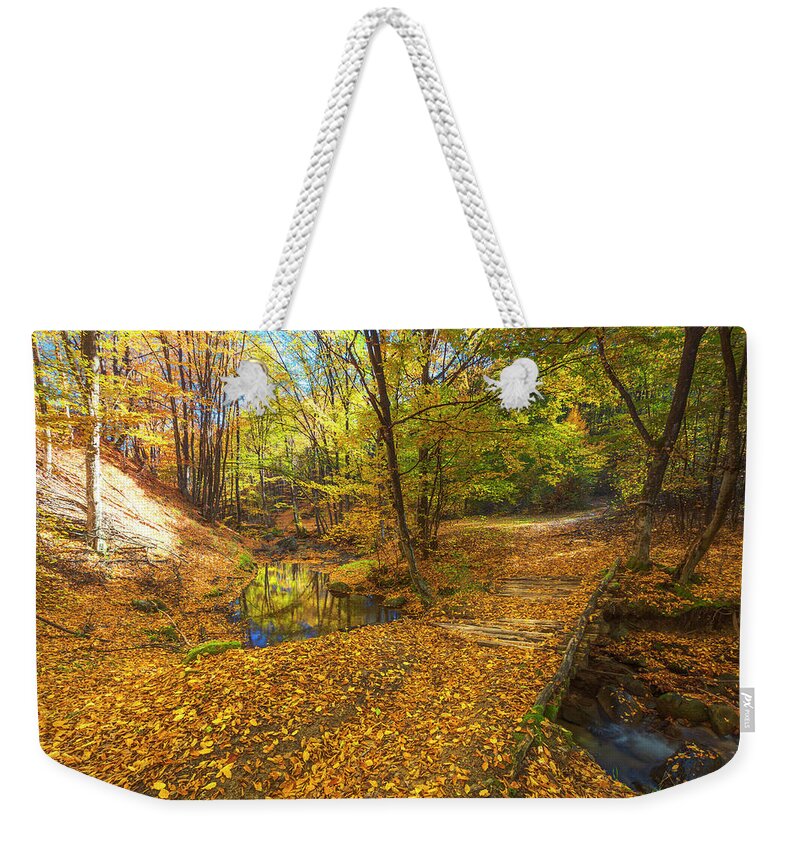 Bulgaria Weekender Tote Bag featuring the photograph Golden River by Evgeni Dinev