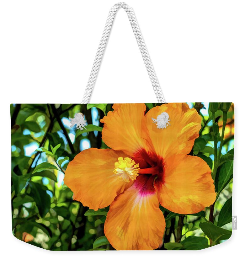 Gardens Weekender Tote Bag featuring the photograph Golden Sunset Hibiscus Flower by Roslyn Wilkins