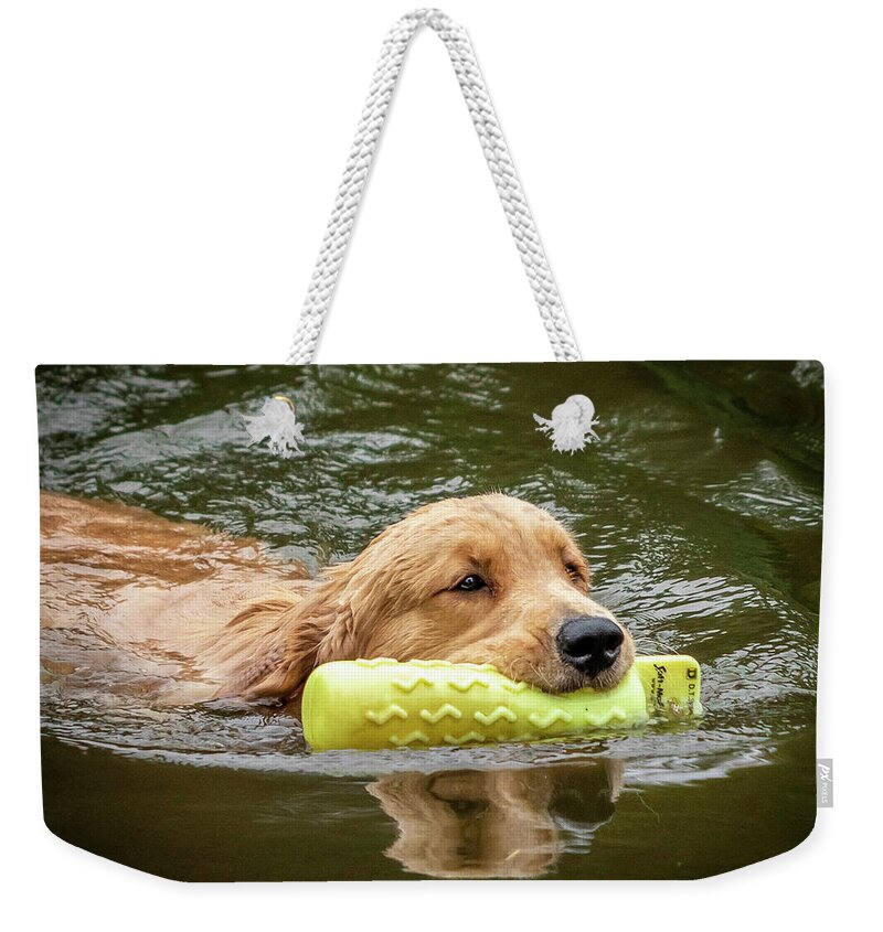 Dog Training Weekender Tote Bag featuring the photograph Golden Swim by GeeLeesa