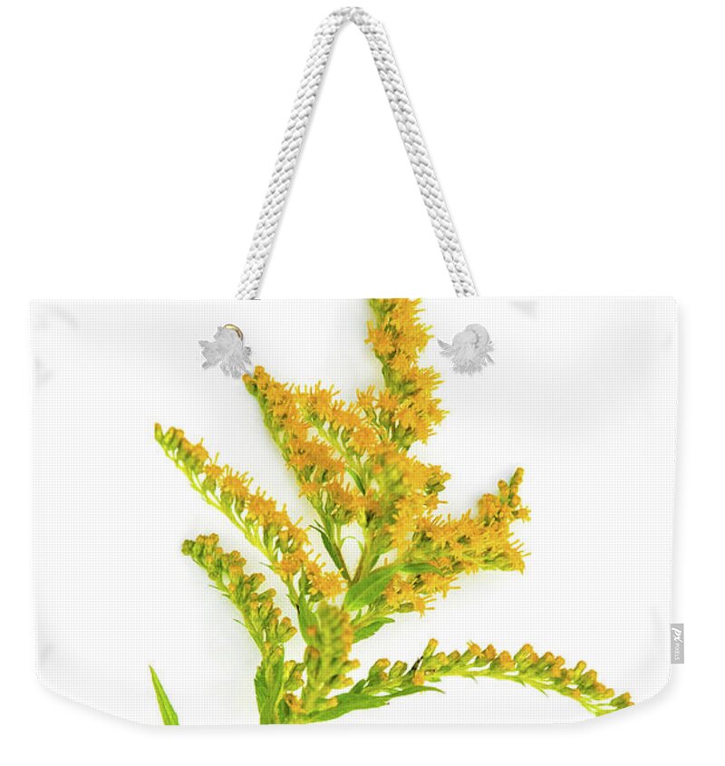 Flowers Weekender Tote Bag featuring the photograph Goldenrod by Christina Rollo
