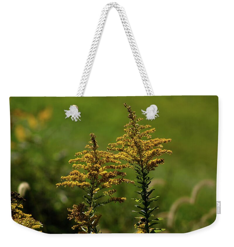 Goldenrod Weekender Tote Bag featuring the photograph Goldenrod in the Meadow by Christopher Reed