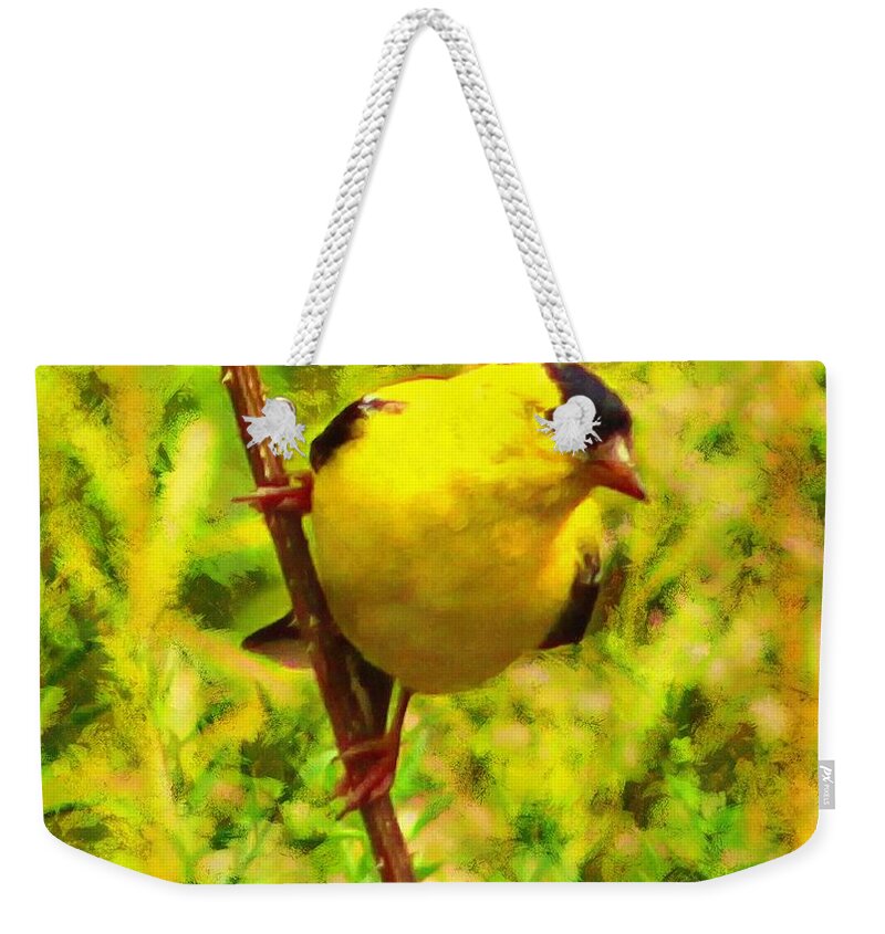Goldfinch Weekender Tote Bag featuring the mixed media Goldfinch by Christopher Reed