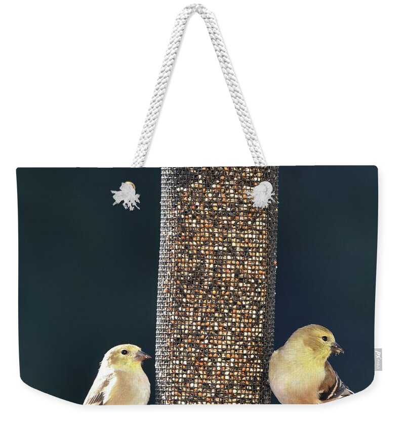 Goldfinch Weekender Tote Bag featuring the photograph Goldfinches at the Feeder by Ben Foster
