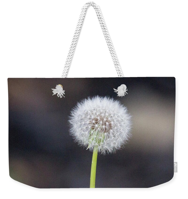 Flower Weekender Tote Bag featuring the photograph Gone to seed by David Beechum