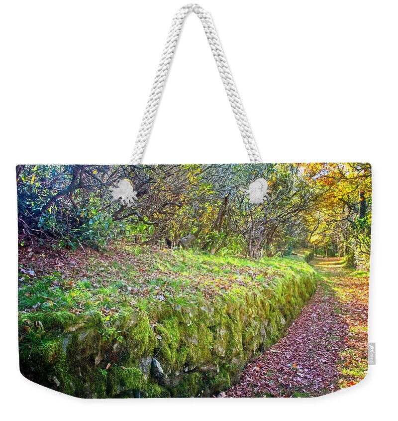 Path Weekender Tote Bag featuring the photograph Good Day For A Walk by Allen Nice-Webb