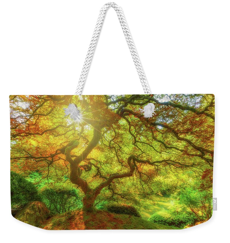 Trees Weekender Tote Bag featuring the photograph Good Morning Sunshine by Darren White