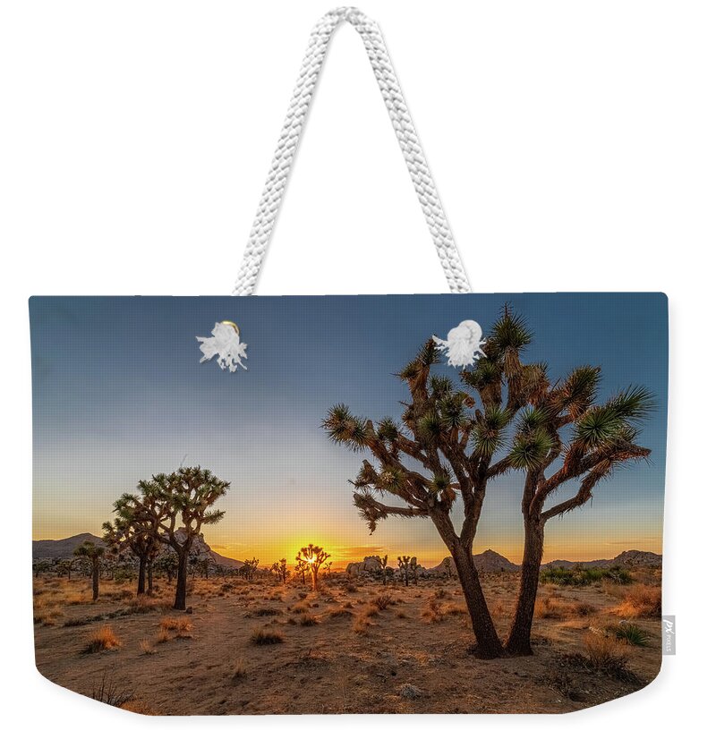 California Weekender Tote Bag featuring the photograph Goodnight Joshua Tree by Peter Tellone