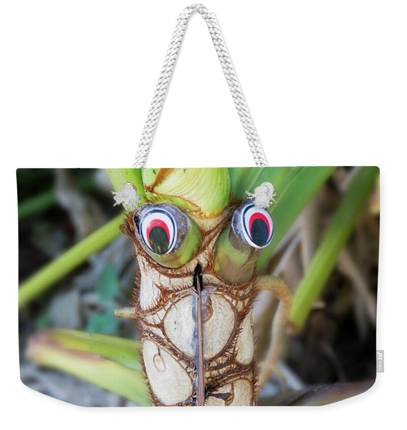 Eyes Weekender Tote Bag featuring the photograph Googly Eyes by Elaine Teague