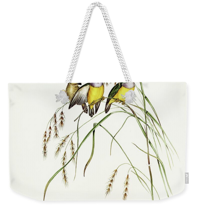 Gouldian Finch Weekender Tote Bags