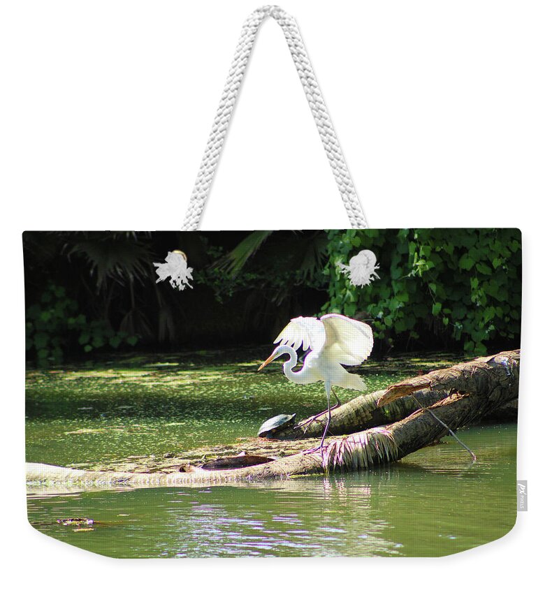 Birds Weekender Tote Bag featuring the photograph Graceful Flight of the Heron by Marcus Jones