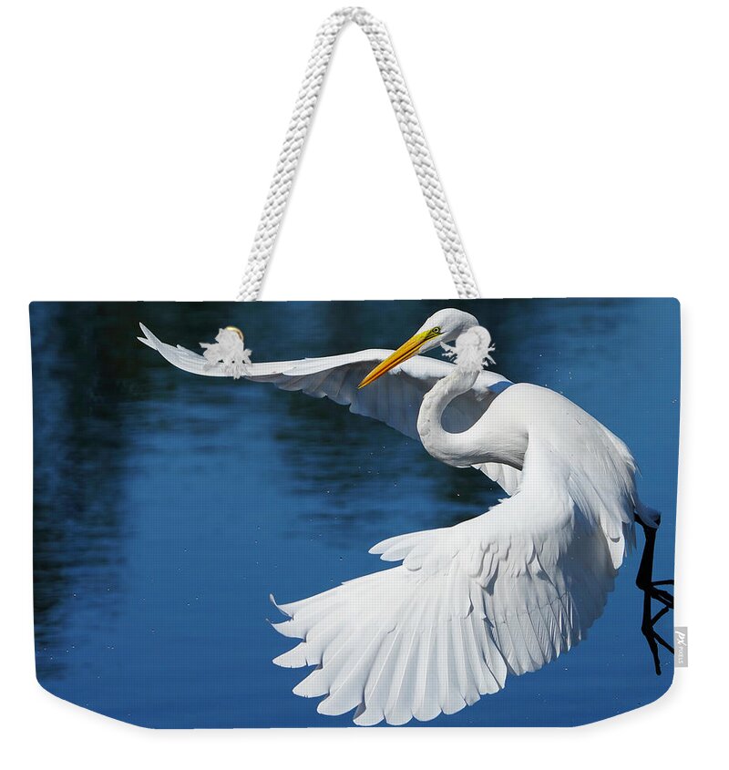 Birds Weekender Tote Bag featuring the photograph Graceful Great Egret by Larry Marshall