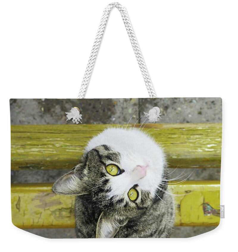 Sea Weekender Tote Bag featuring the photograph Gracie by Michael Graham