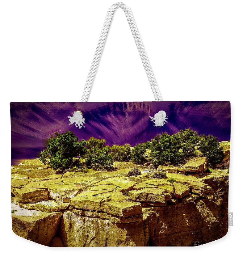 National Park Weekender Tote Bag featuring the photograph Grand Canyon Trees by Nick Zelinsky Jr