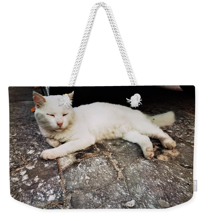 Cat Weekender Tote Bag featuring the photograph Grand Master's Guard by Jarek Filipowicz