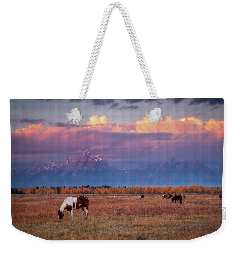 Grand Tetons Weekender Tote Bag featuring the photograph Grand Teton Pasture by Wesley Aston