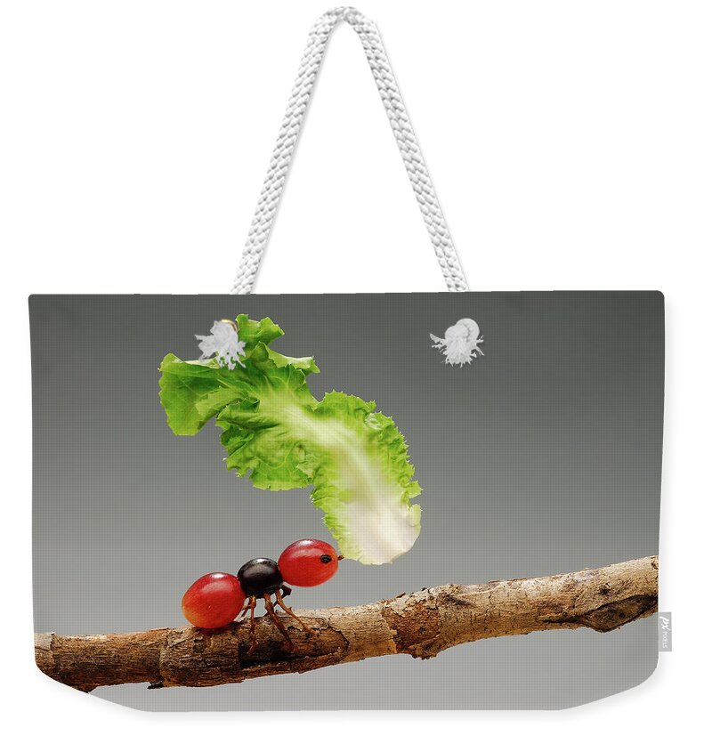 Ant Weekender Tote Bag featuring the photograph Grape Ant by Cacio Murilo De Vasconcelos
