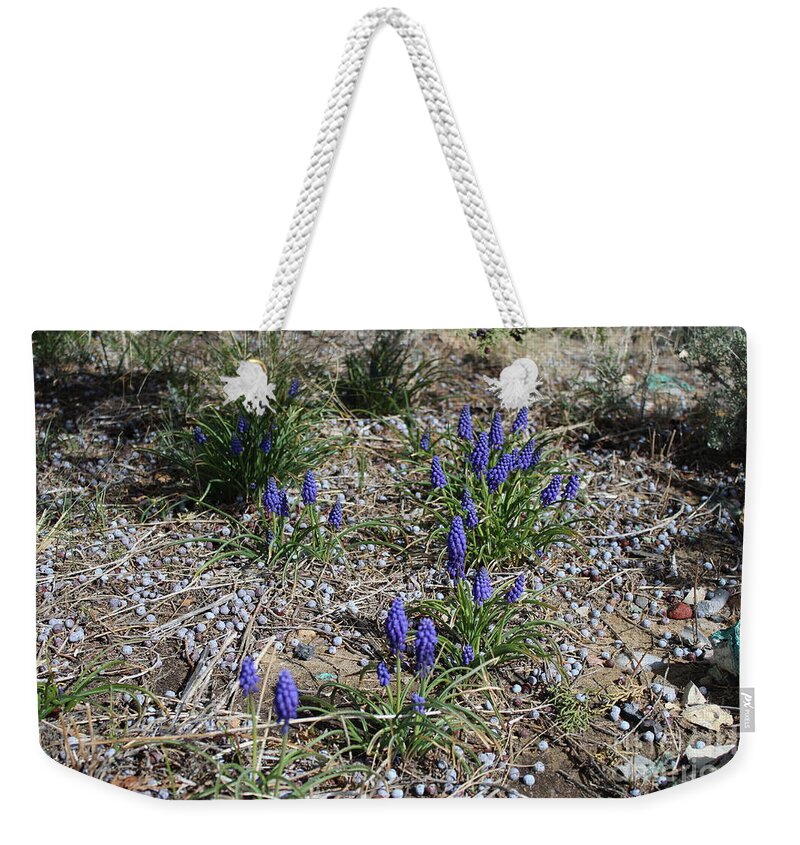 Grape Hyacinths Weekender Tote Bag featuring the photograph Grapes by Doug Miller