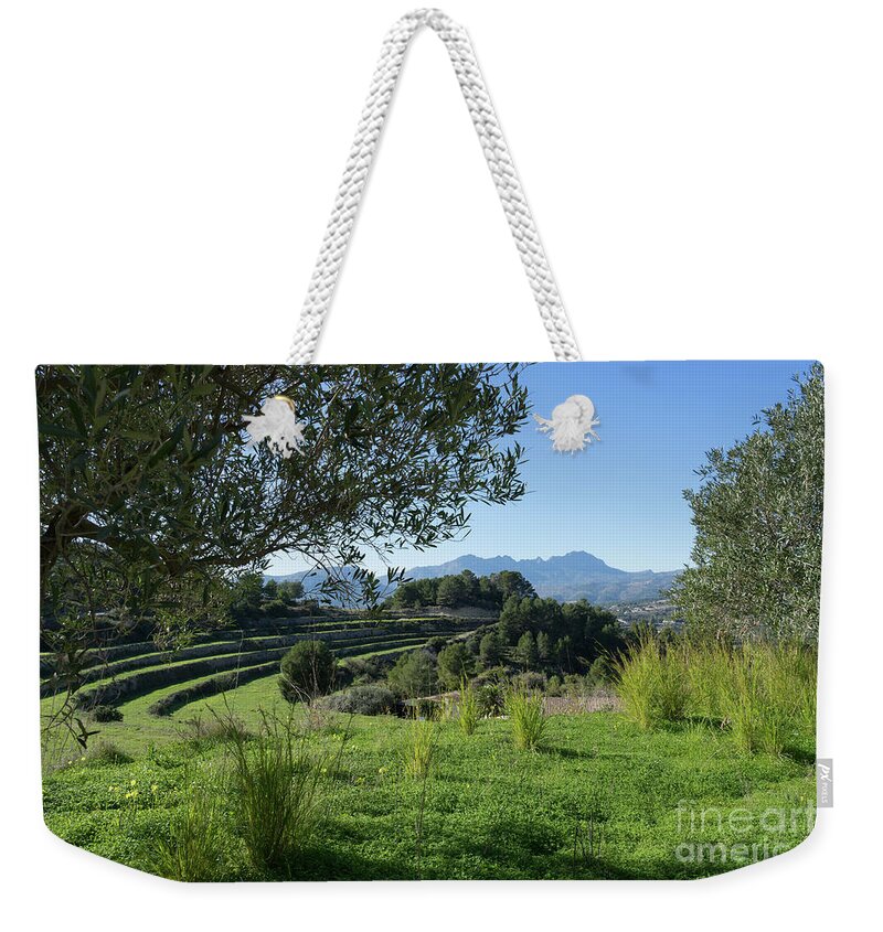 Landscape Weekender Tote Bag featuring the photograph Grass and clover under the olive tree by Adriana Mueller