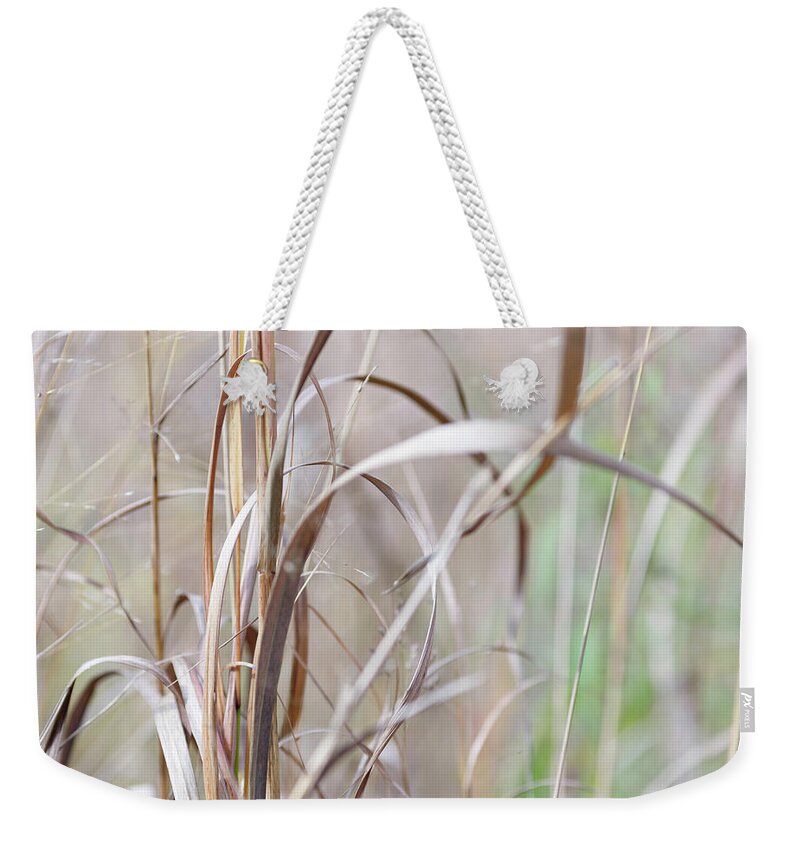 Grass Weekender Tote Bag featuring the photograph Grass Field by Amelia Pearn