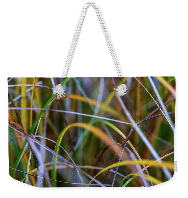 Fall Weekender Tote Bag featuring the photograph Nature Photography - Rainbow Grass by Amelia Pearn