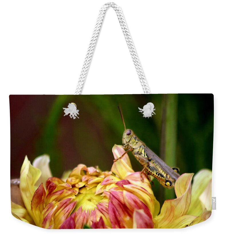 Grasshopper Weekender Tote Bag featuring the photograph Grasshopper Love The Flowers by LaDonna McCray